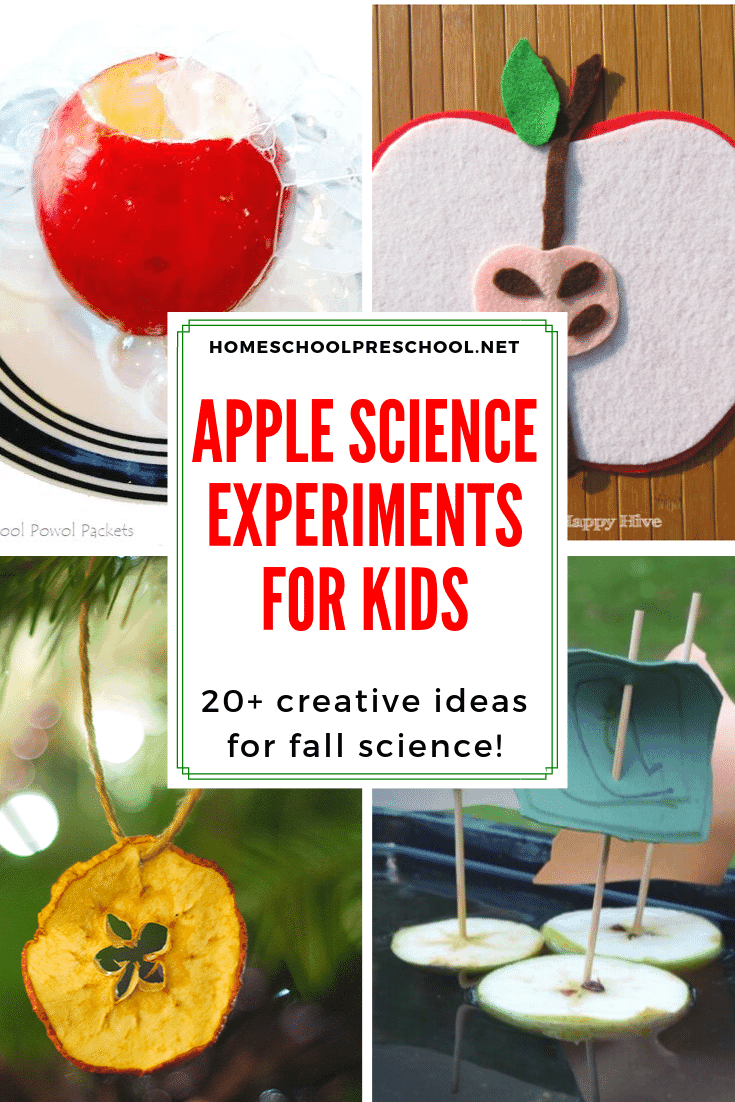 It's time to gear up for back to school. Add one or more of these apple science activities for preschoolers to your autumn lessons. The kids will love it!
